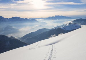 【MT5】函数 IndicatorCreate（）